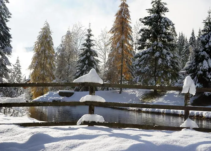 Rosie | Design | * Бад Кляйнкирххайм